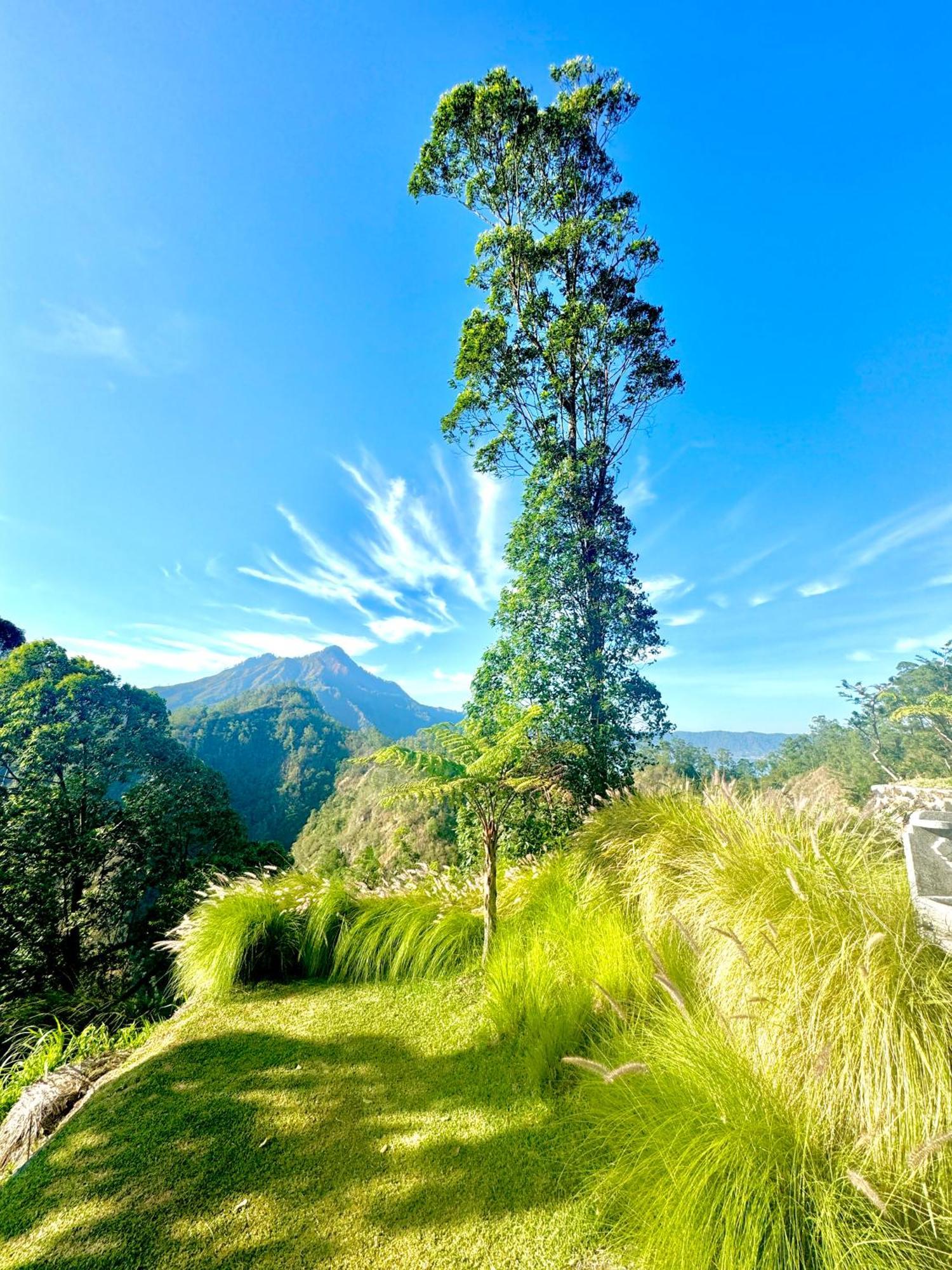 Hotel Alengkong Bali Camp Bangli Exterior foto
